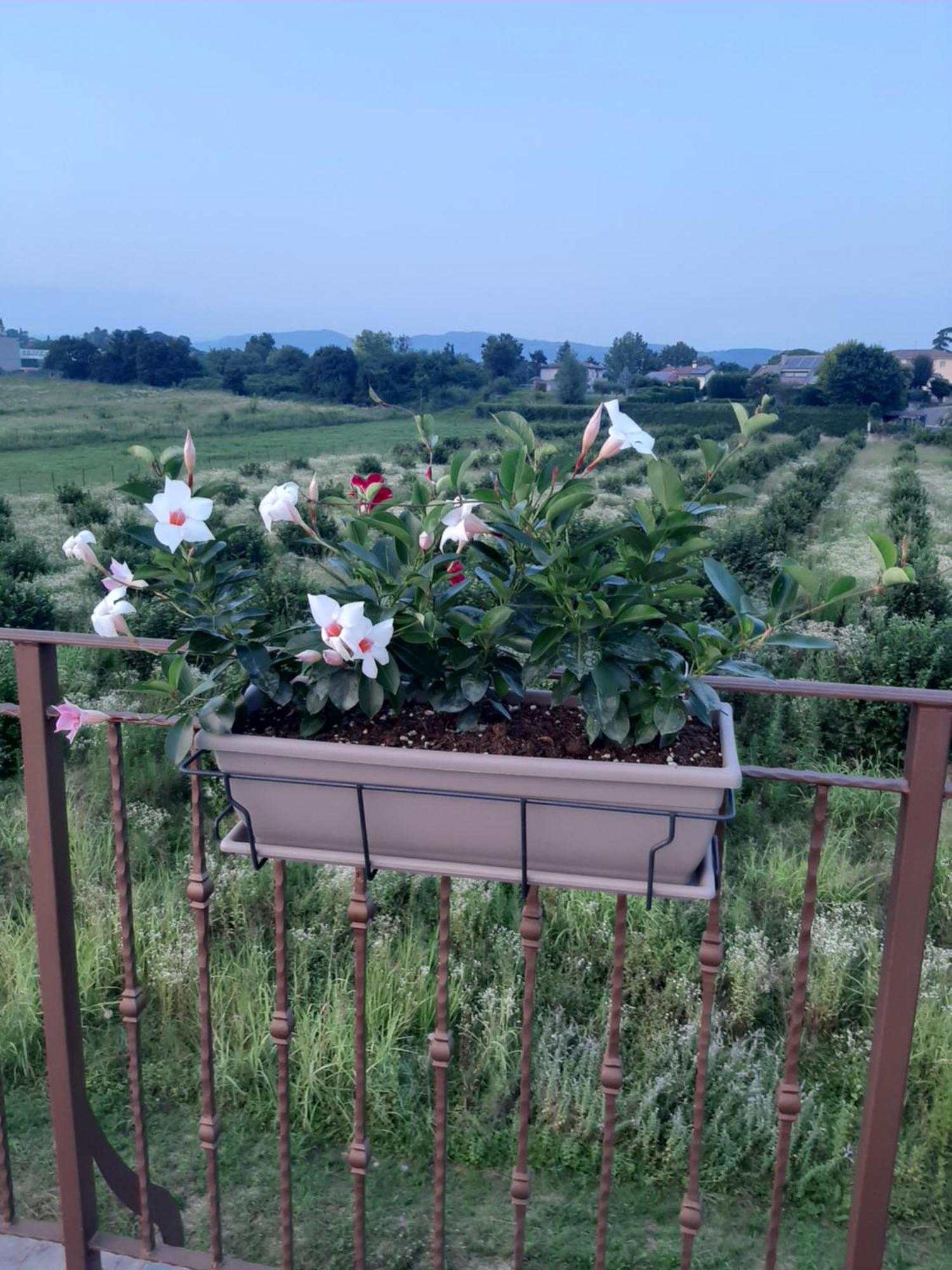 Bed And Breakfast Ca Tognella Pescantina Exterior foto