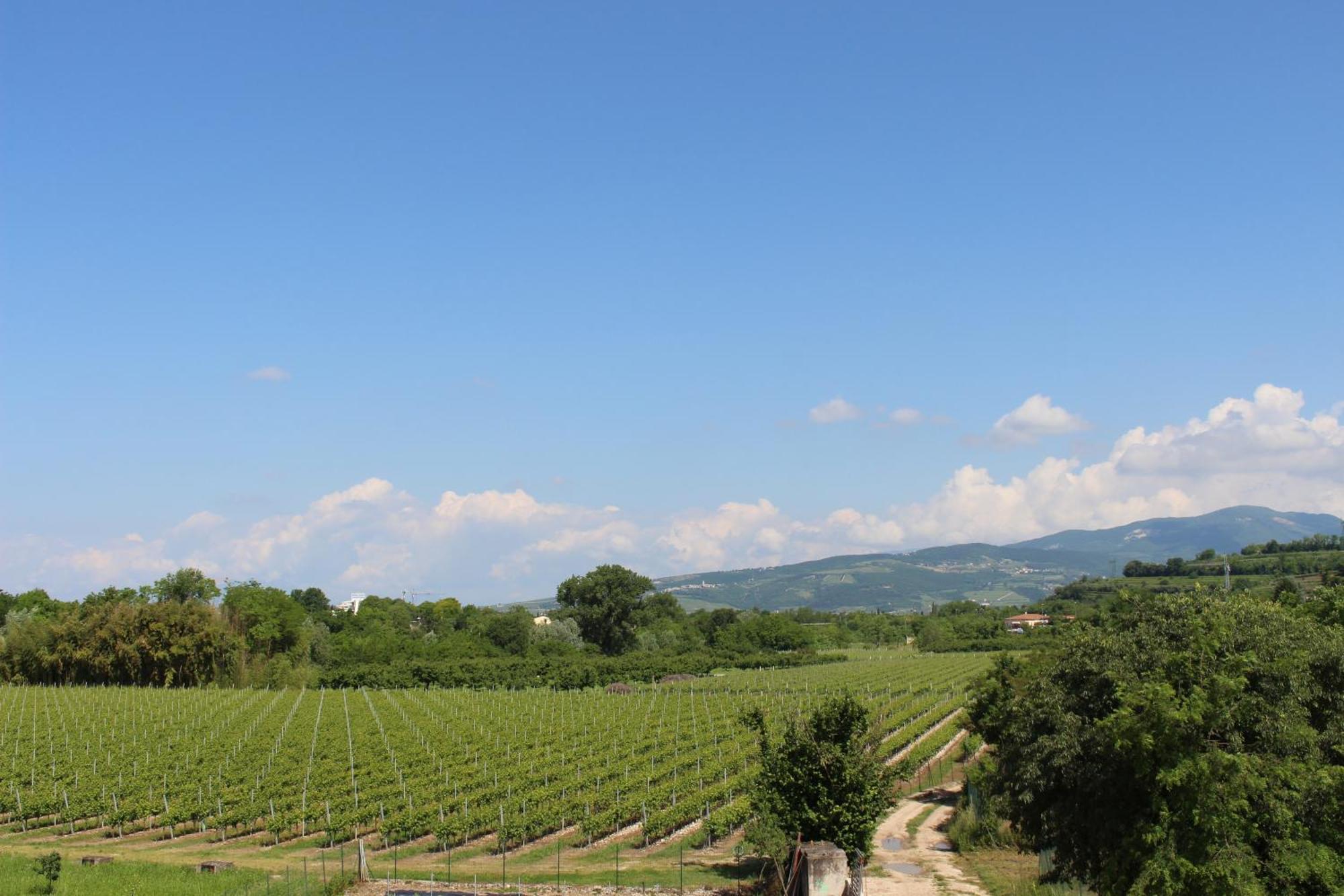 Bed And Breakfast Ca Tognella Pescantina Exterior foto